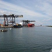 Picture 019